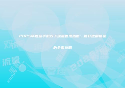 2025年魅蓝手机双卡流量管理指南:提升使用体验的全面攻略