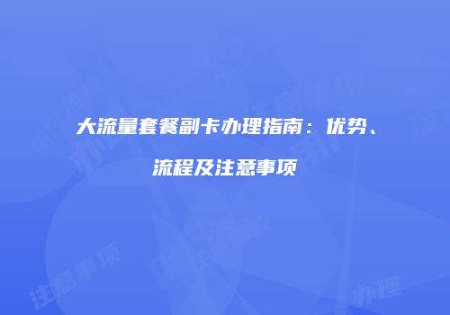 大流量套餐副卡办理指南：优势、流程及注意事项