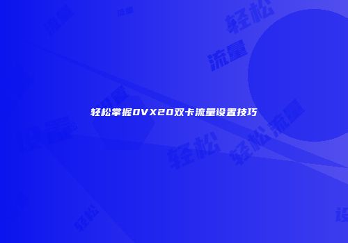 轻松掌握0VX20双卡流量设置技巧