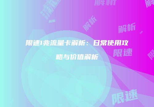 限速1兆流量卡解析:日常使用攻略与价值解析