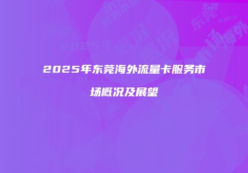 2025年东莞海外流量卡服务市场概况及展望