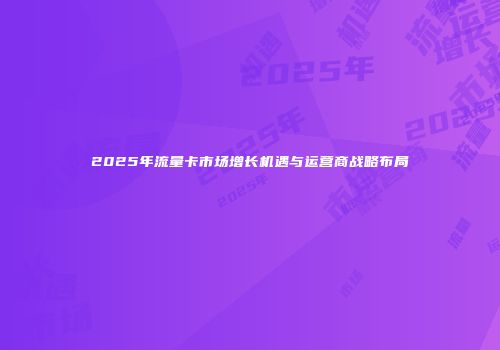 2025年流量卡市场增长机遇与运营商战略布局