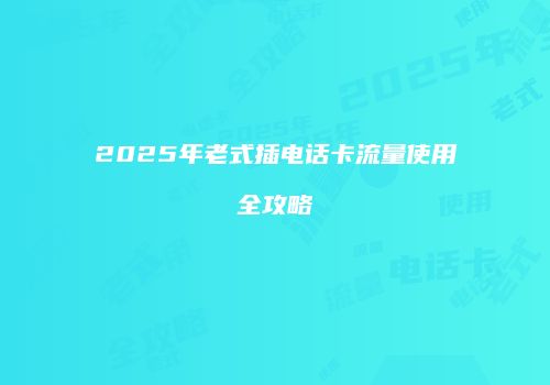2025年老式插电话卡流量使用全攻略