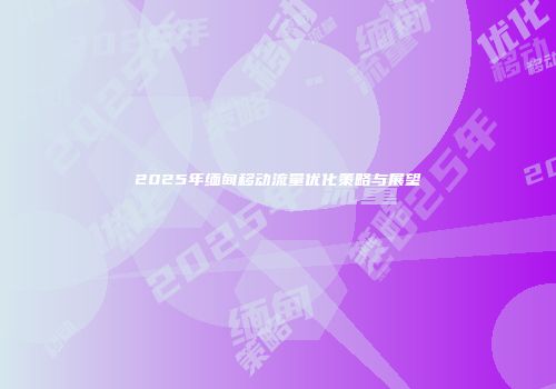 2025年缅甸移动流量优化策略与展望