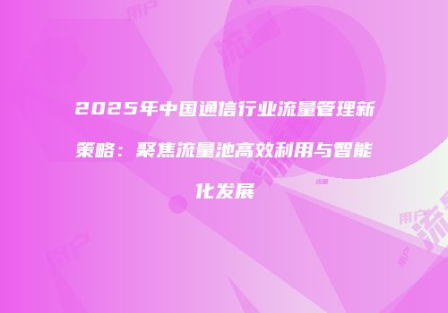 2025年中国通信行业流量管理新策略：聚焦流量池高效利用与智能化发展
