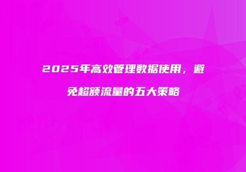 2025年高效管理数据使用，避免超额流量的五大策略