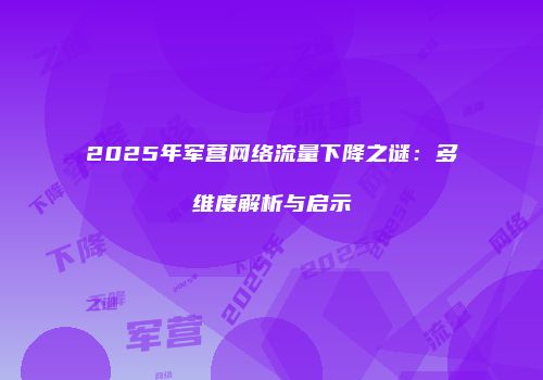 2025年军营网络流量下降之谜:多维度解析与启示