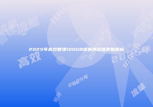 2025年高效管理100GB流量的多维策略解析