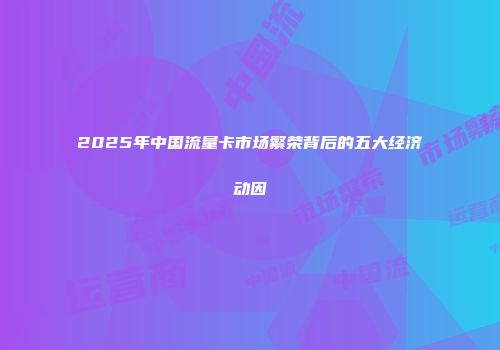 2025年中国流量卡市场繁荣背后的五大经济动因