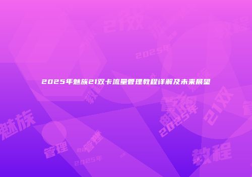 2025年魅族21双卡流量管理教程详解及未来展望